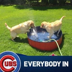 Meet your Posher, Ann